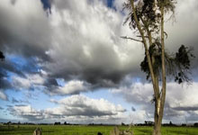 如何选择正规殡仪服务